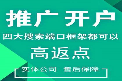 百度搜索推广实战经验：经典案例启示录